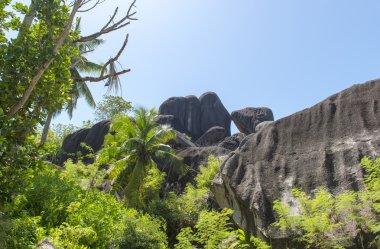 Mountain view (trois mamelles) Mauritius, görünümü form curepipe