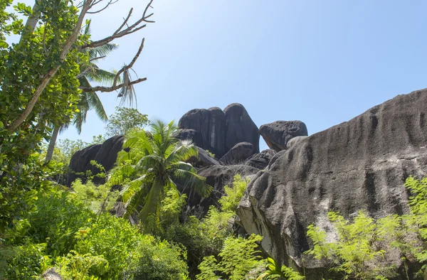 Mountain view (Trois Mamelles) in Mauritius, view form Curepipe — Stock Photo, Image