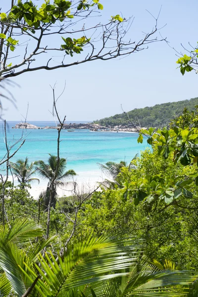 Tropisk sandstrand på Seychellerna öar, praslin, anse lazio — Stockfoto