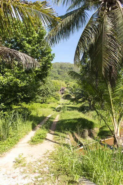 Amazing Seychelles islands — Stock Photo, Image