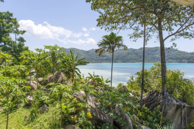 tropikal hotel, Seyşel Adaları manzaralı mükemmel deniz manzarası