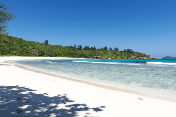 Strand op het eiland la digue Seychellen — Stockfoto