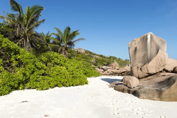塞舌尔群岛与独特花岗岩岩 图库照片