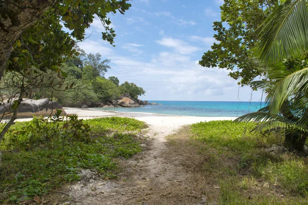 Tropisk strand på Seychellerna - semesterbakgrund — Stockfoto