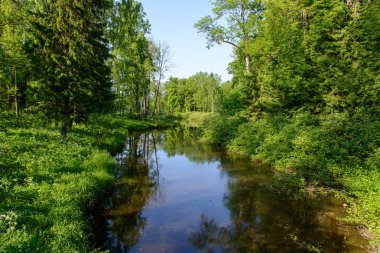 Catherine park, tarihi site. Pushkin