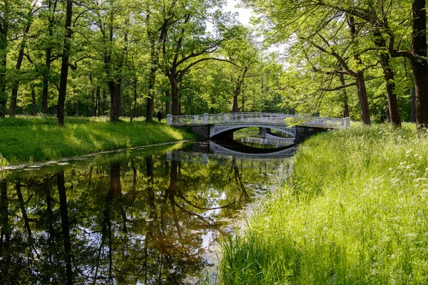 Catherine Park. Pouchkine. Russie — Photo