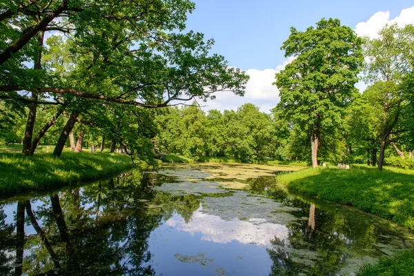 Catherine park, Puškin — Stock fotografie