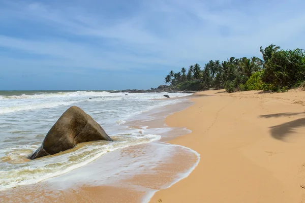 Srí lanka. západní pobřeží. pobřeží pláže. — Stock fotografie