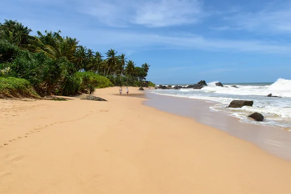 Sri lanka. westkust. de kustlijn van stranden. — Stockfoto