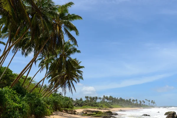 Шри-Ланка. Западное побережье. Береговая линия пляжей . — стоковое фото