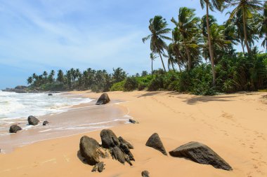 Sri lanka. Batı Yakası. kıyı plajları.