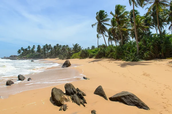 Srí lanka. západní pobřeží. pobřeží pláže. — Stock fotografie