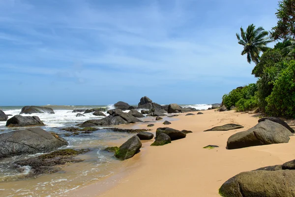 Sri lanka. westkust. de kustlijn van stranden. — Stockfoto