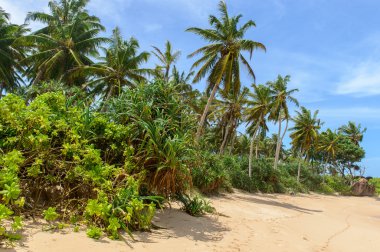 Sri lanka. Batı Yakası. kıyı plajları.