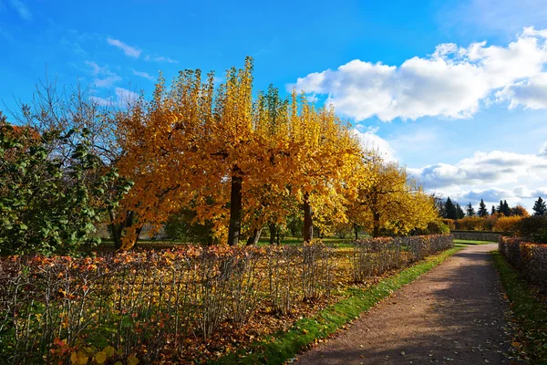 City parku peterhof. zlatý podzim. Rusko — Stock fotografie