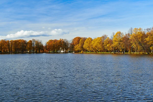 Schöner goldener Herbst im Stadtpark. — Stockfoto