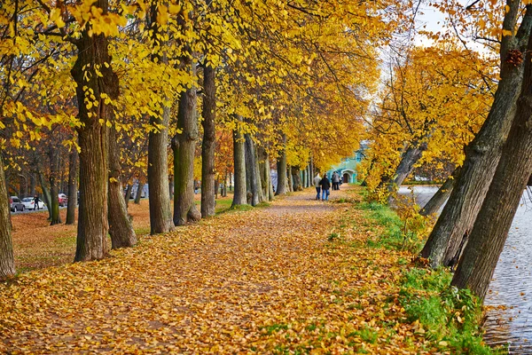 Mooie gouden herfst in het stadspark. — Stockfoto