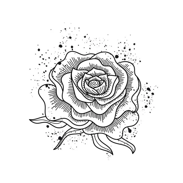 黒と白のバラの花が孤立した ペイントスプラッシュ ラインアートタトゥースタイル ベクトルイラスト 招待状 ぬり絵 バッグ プリント Tシャツのデザインに使用できます — ストックベクタ