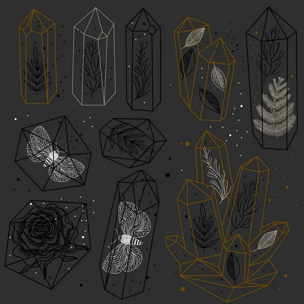 Set Hand Drawn Crystals Leafs Moths Rose Gems Transparent Terrariums — Stockvektor