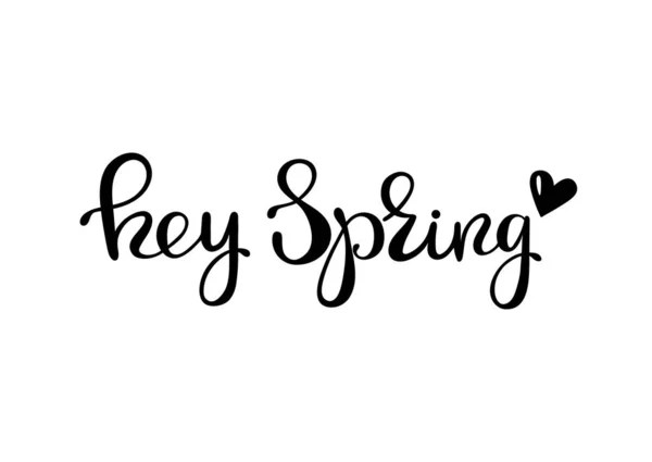 Hey Spring Lettering Design Ink Hand Drawn Letters Vector Illustration Stock Vector