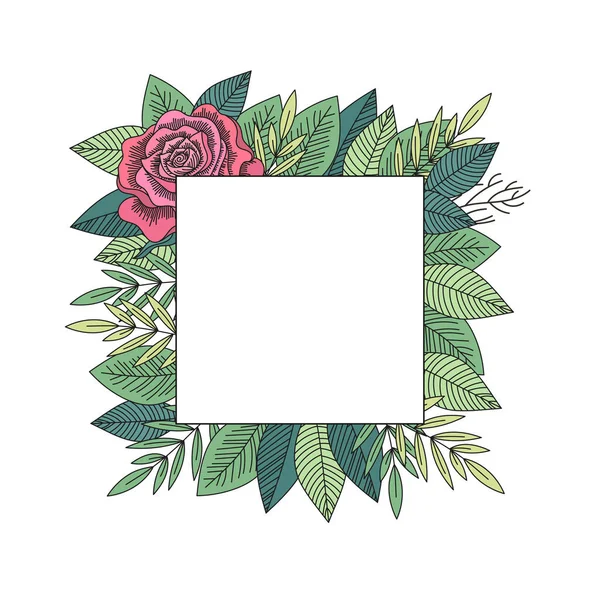 Rosa Vermelha Folhas Verdes Quadro Isolado Quadro Decorativo Floral Desenhado —  Vetores de Stock