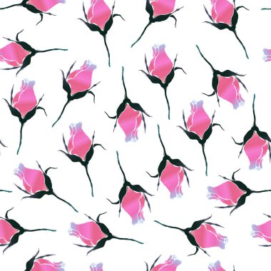 Pembe gül goncalarıyla kusursuz desen. Beyaz arka planda gül çiçekleri. Vektör illüstrasyonu.