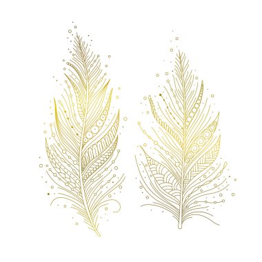 Altın kuş tüyleri izole, el çizimi dekoratif elementler boho tarzında. Vektör illüstrasyonu.