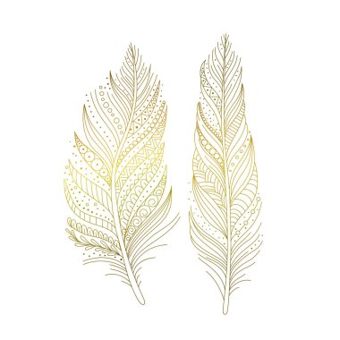 Altın süslemeli kuş tüyleri izole, el çizimi dekoratif tasarım elementleri boho stilinde. Vektör illüstrasyonu.