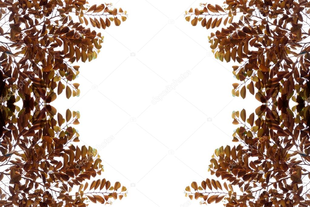 Brown leaves frame