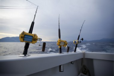 Balıkçılık Dişliler