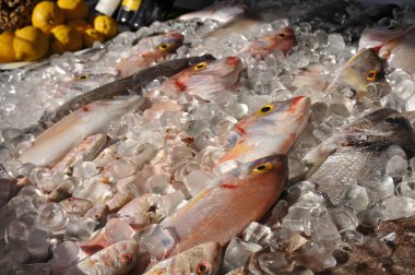 Noel ve yılbaşı kurabiyeleri