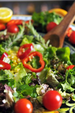 taze mevsim salatası