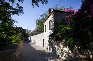 bodrum türkiye