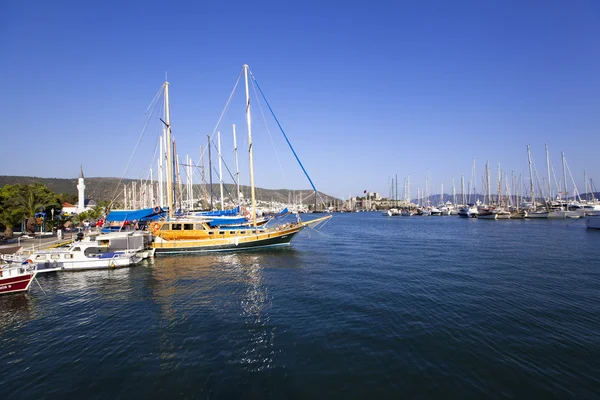 Peru-de-bodrum — Fotografia de Stock