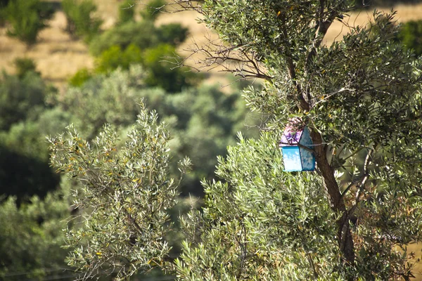 Bird House — Stock Photo, Image