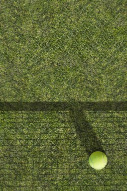 Tenis topu