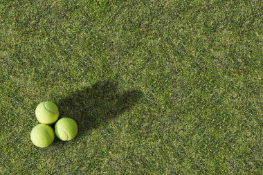 Tenis topu
