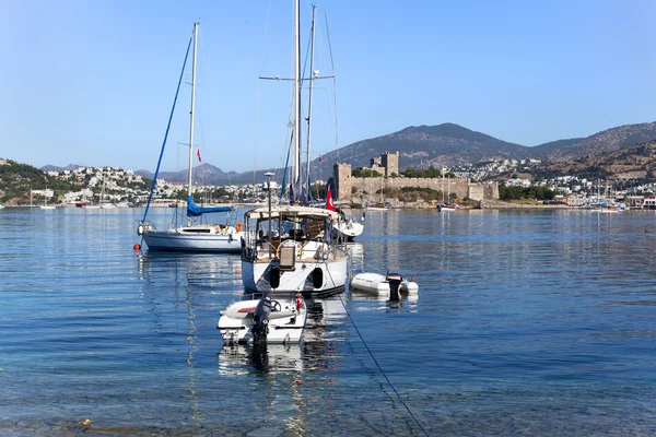 Peru-de-bodrum — Fotografia de Stock