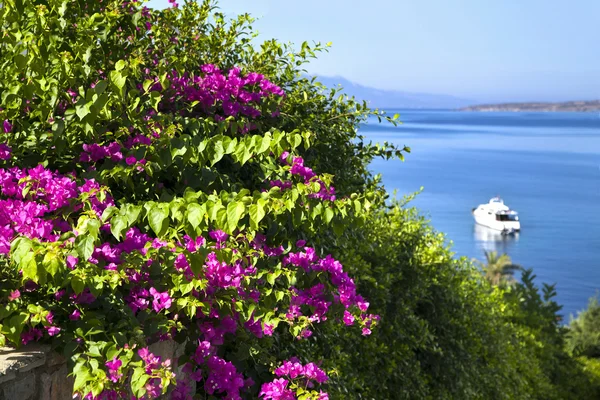 Bodrum Turchia — Foto Stock