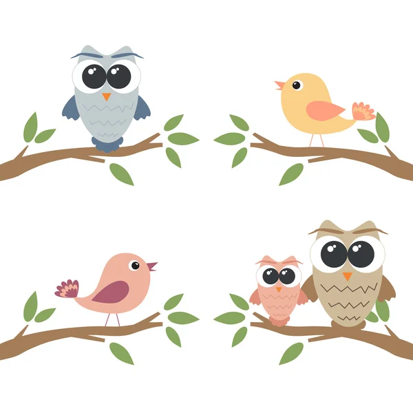 Conjunto de búhos y aves sentados en la rama — Vector de stock
