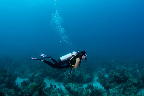 Scuba潜水员 — 图库照片