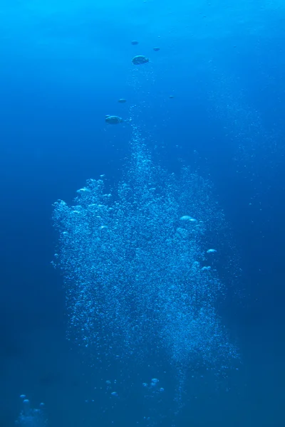 Gelembung — Stok Foto