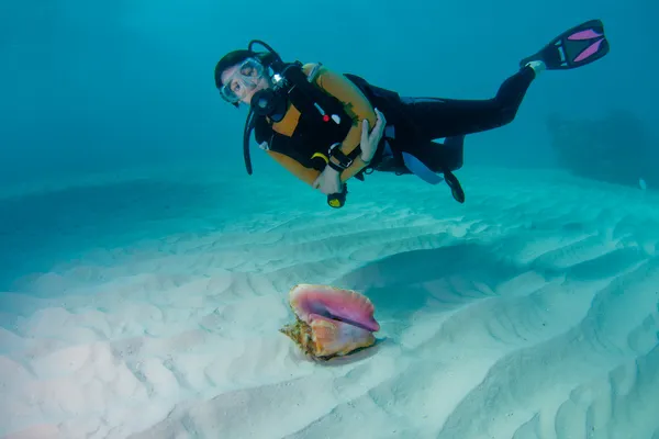 Taucher und Muschelschale — Stockfoto