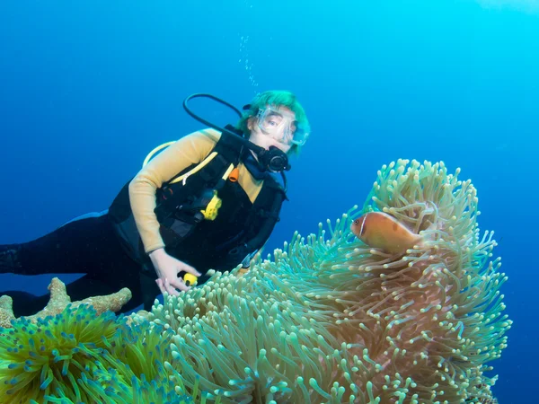 Diver meets clownfish — Stock Photo, Image