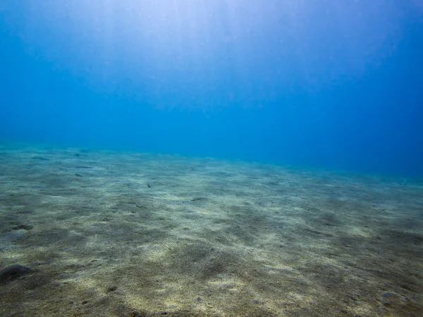 砂浜海底 — ストック写真