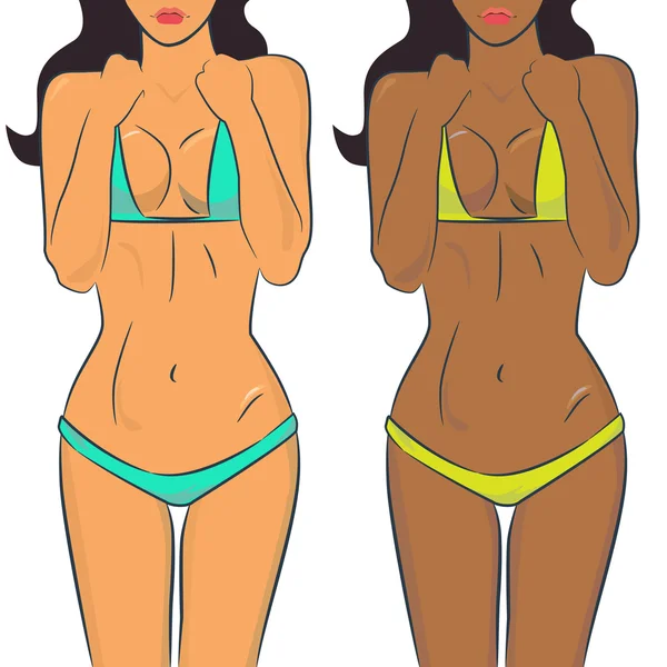 Beautiful woman bodies in bikini vector — Stock Vector