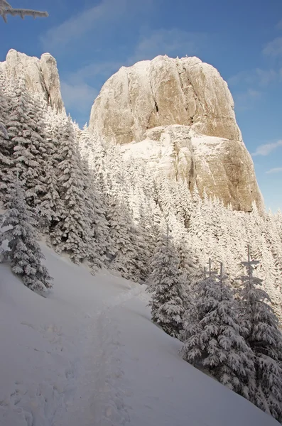 White landscape — Stock Photo, Image