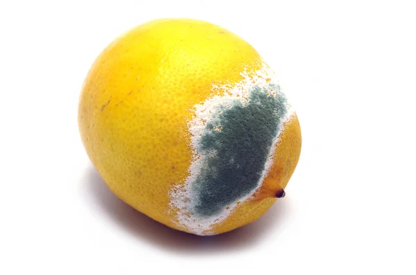Limão moldado — Fotografia de Stock