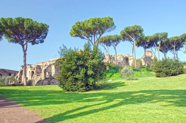 Palatine hill — Stock Photo, Image