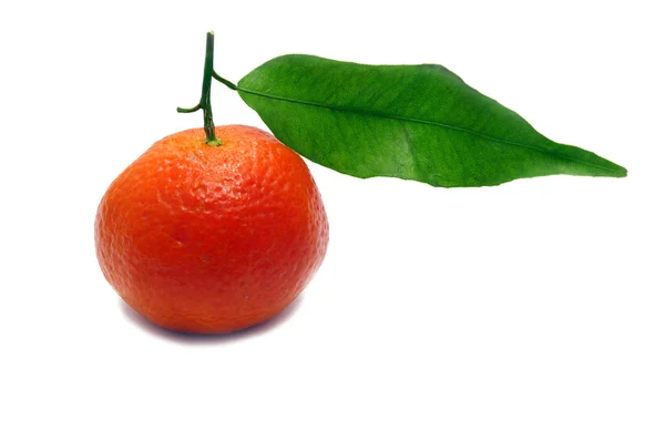 Fresh clementine — Stock Photo, Image